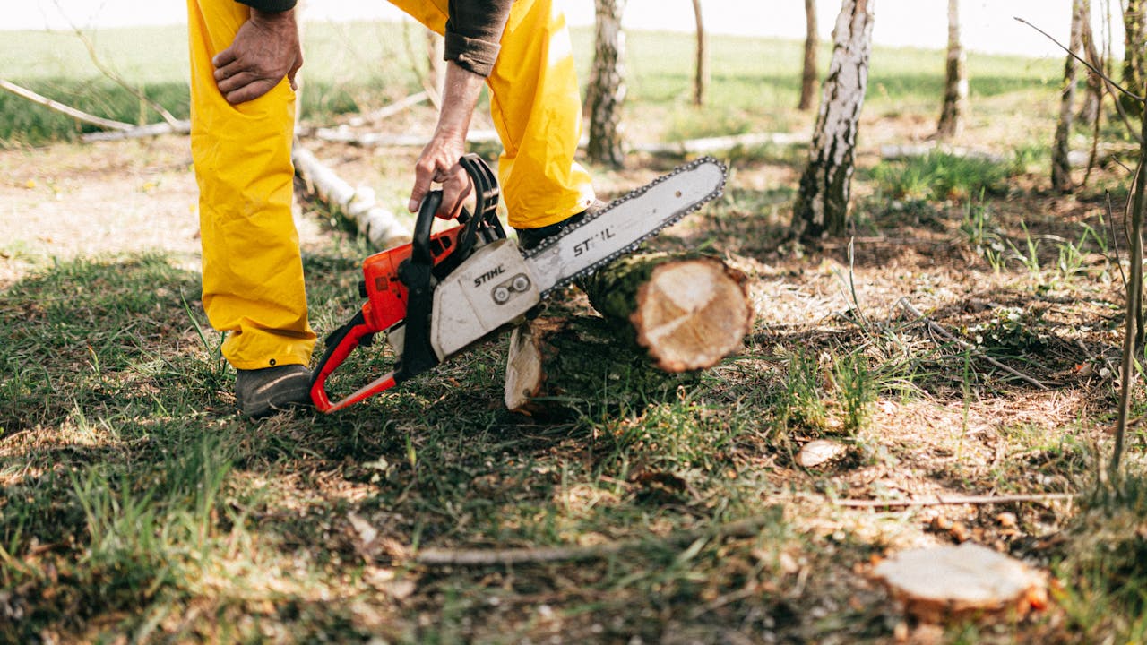 Tree Lopping