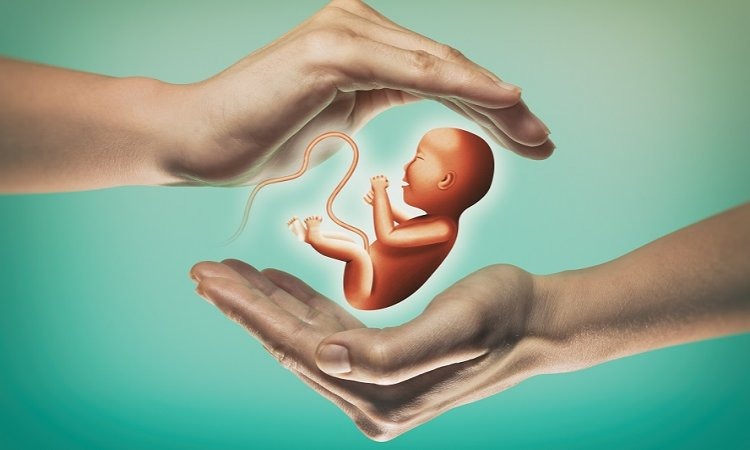 How Lifestyle and Diet Affect Fertility for Men and Women in Dubai 